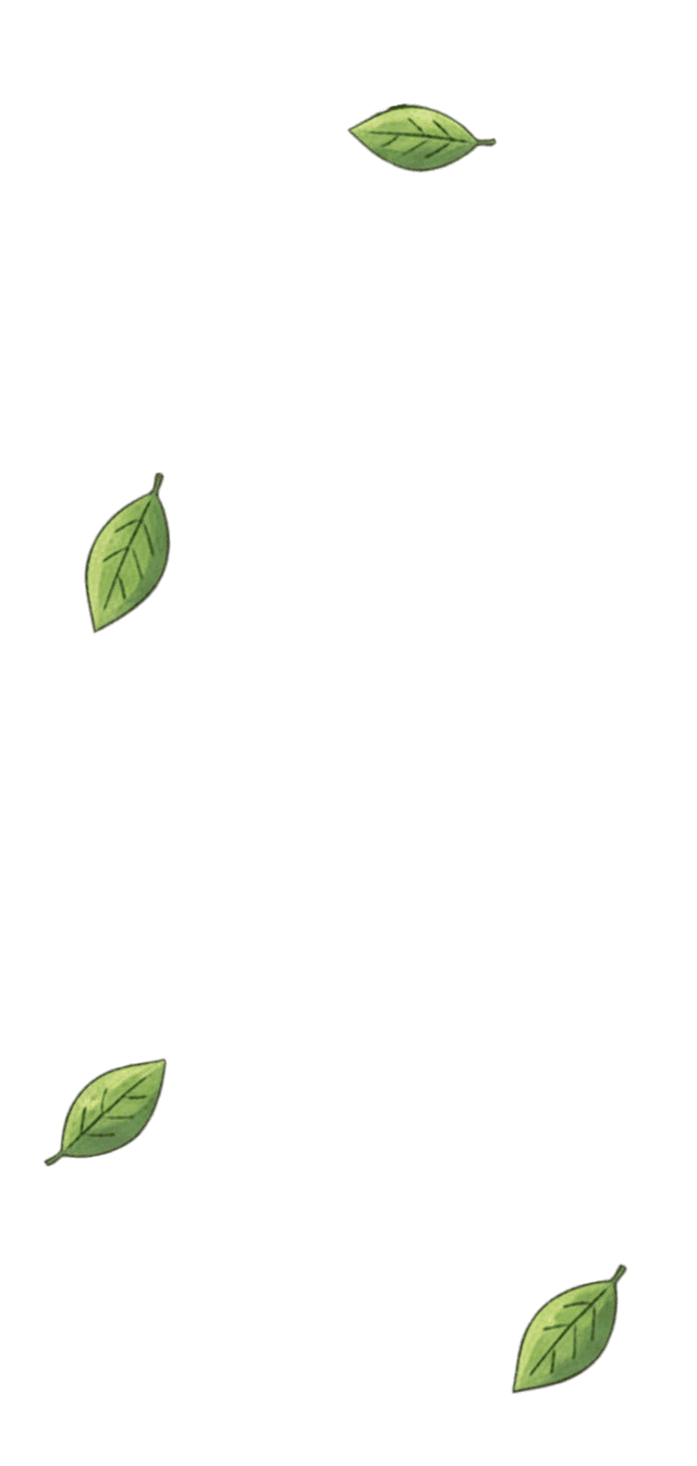 Folhas Voando Esquerda